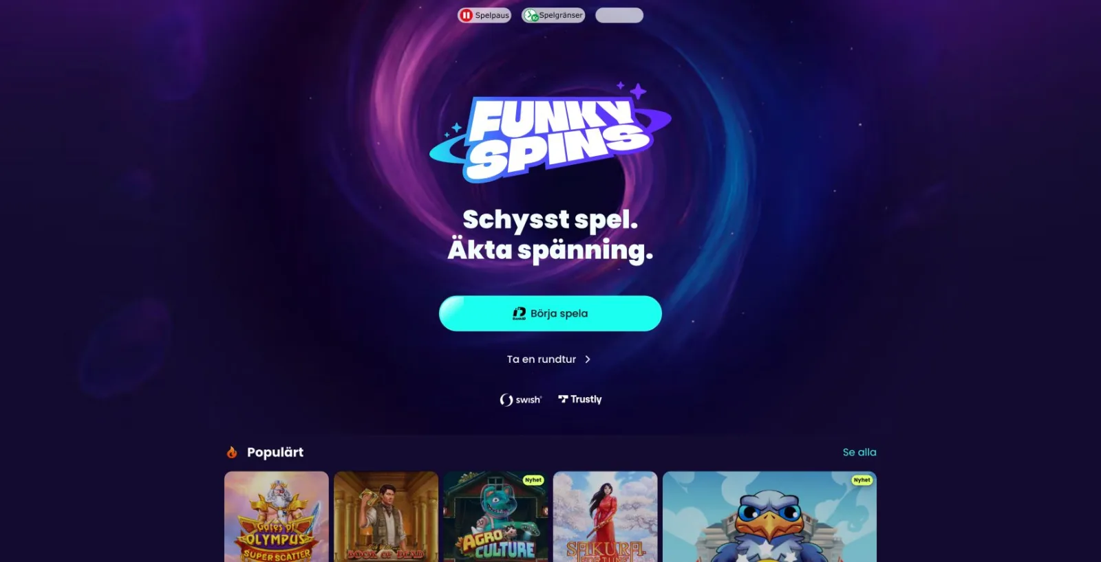 Skärmbild av startsidan hos Funkyspins